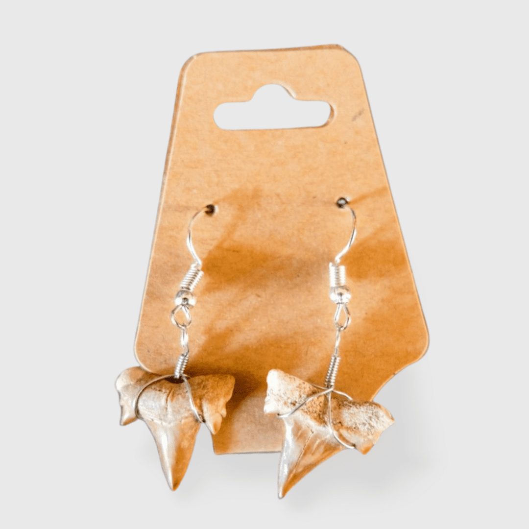 A pair of earrings hanging on a card.